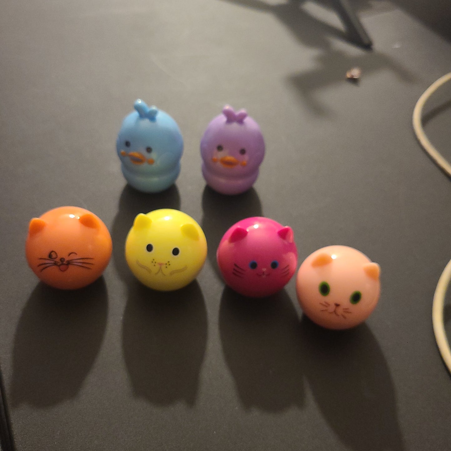 Cats and ducks lip blam